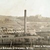 Pickle Bridge Dyeworks